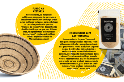 Infográfico Especial Yanomani